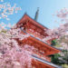 お花見デートで1度は訪れたい桜の名所10選【福岡】
